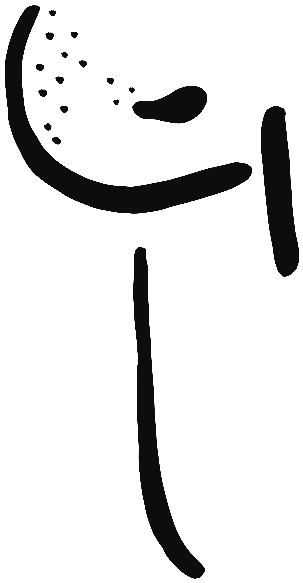 Image of the occurrence